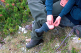 How to Prevent Painful Blisters While Hiking: Expert Tips & Gear